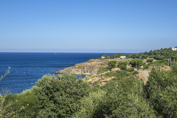 Wall Mural - Racou natural site near Argeles-sur-Mer, Pyrenees Orientales, Languedoc Roussillon, France.