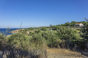 Wall Mural - Racou natural site near Argeles-sur-Mer, Pyrenees Orientales, Languedoc Roussillon, France.