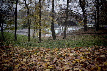 Poster - autumn in the park