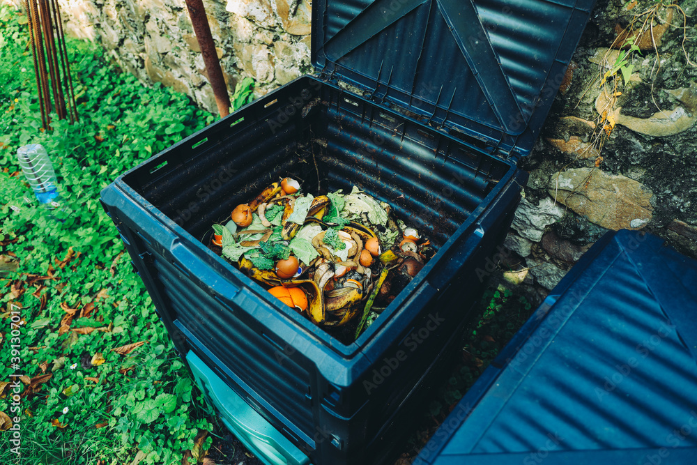 Compost bin with organic waste - obrazy, fototapety, plakaty 