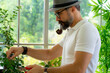 © ake - senior retired Caucasian man with smoking pipe doing indoor gardening in home greenhouse planting herb and green vegetable