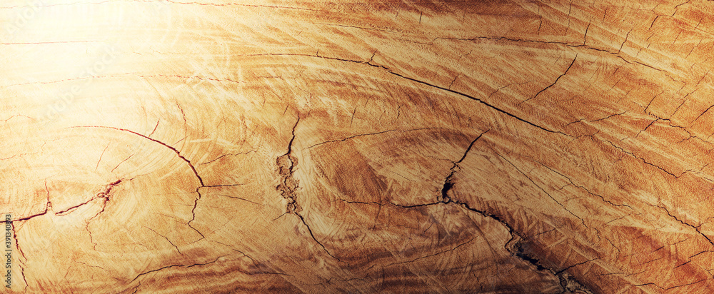 backgrounds and textures concept - wooden texture or background - obrazy, fototapety, plakaty 