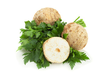 Wall Mural - Round celery root on white