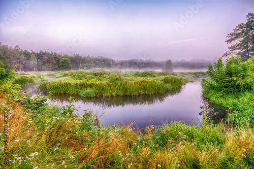 Obrazy Tatarak  rzeka-grabia-w-centralnej-polsce