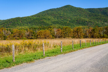 Wall Mural - Great Smoky Mountains National Park