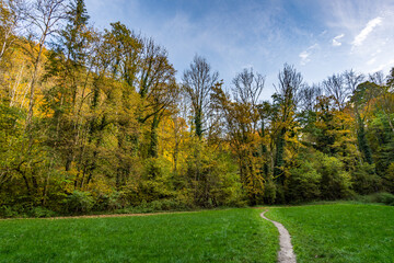 Canvas Print - Fantastic autumn hike along the Aachtobel to the Hohenbodman observation tower