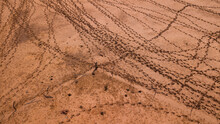 Cattle Hoof Prints In The Desert On The Way To Watering Place