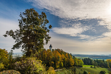 Canvas Print - Fantastic autumn hike along the Aachtobel to the Hohenbodman observation tower