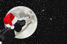 Funny Cow In Christmas Santa Hat On The Background Of Large Bright Moon