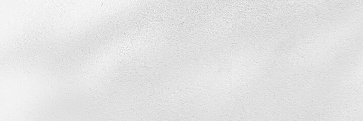 Abstract shadows nature. Gray shadows trees leaf on white wall. Concept blurred background.White and Black.Texture shadows
