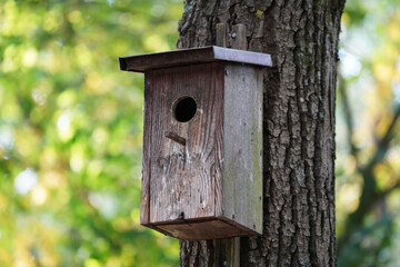 Poster - Closeup of a wooden birdhouse on the tree