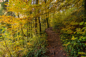 Sticker - Fantastic autumn hike along the Aachtobel to the Hohenbodman observation tower