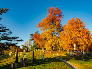 autumn in green-wood cemetery