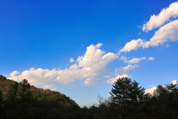 Wall Mural - 山と雲