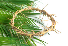 Crown Of Throns On A Bed Of Palm Branches