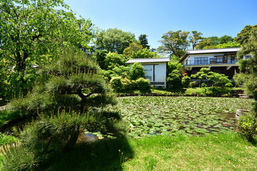 Poster - 老欅荘の庭園