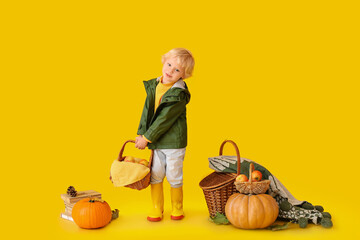 Wall Mural - Cute little boy with autumn harvest on color background