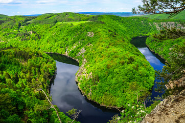 Wall Mural - Closeup shot of Cesky Kras Protected Landscape in Czechia