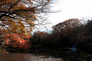 Poster - 震生湖の紅葉