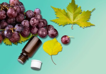 Wall Mural - Grape.