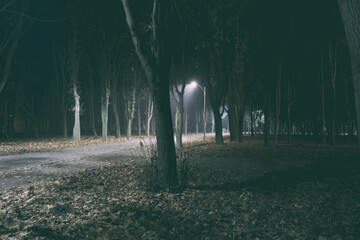 Wall Mural - The foggy evening in the autumn park