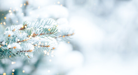 white snow lies on the branches of a christmas tree. photo for greeting cards. christmas mood. long 