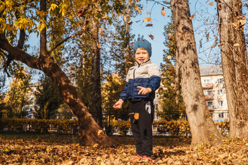 Little boy and flying autumn leaves.