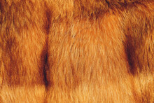 Textures Red Fox Fur. Red Fox Shaggy Fur Texture Cloth Abstract, Furry Rusty Texture Plain Surface, Rough Pelt Background In Horizontal Orientation, Nobody.
