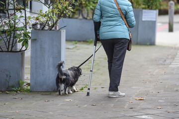 Poster - femme vieux senior retraite handicapé santé canne bequille infirme chien