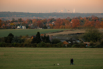 Wall Mural - Dog walkers in rural field with City of London on the distant horizon 