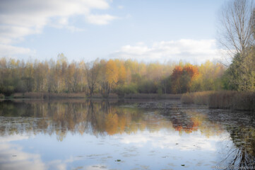 Autumn landscape of Pogoria II Lake was made like a painting.