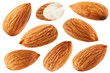 Almonds isolated on white background. Collection