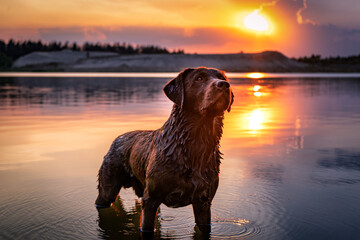 Sunset on the lake