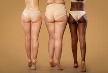 Rear View Of Three Women With Different Body Types In Underwear, Cropped
