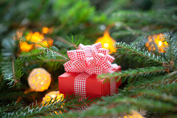 Wall Mural - Christmas red gift box with red bow in Fir branches. Merry Christmas and Happy New Year composition.