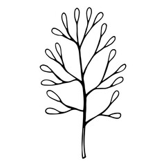 Vector contour drawing. Hand drawn trees doodle