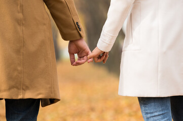 Sticker - Loving couple holding hands in the forest - the concept of love