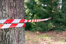 Red And White Barrier Tape, Fenced Off Dangerous Place Or Crime Scene In The Forest