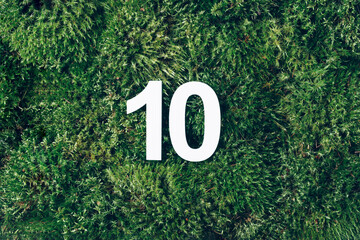 Green grass, digit ten. Birthday greeting card with inscription 10. Anniversary concept. Top view. White numeral on eco moss background. Numerical digit, Celebration event, template, flyer