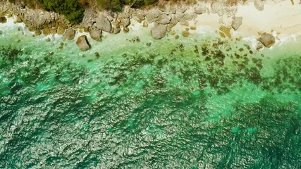 Wall Mural - Tropical beach and blue clear sea