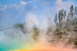 Fototapeta Sawanna - Yellowstone National Park