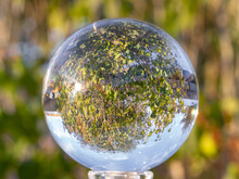 Close-up Crystal Ball With A Leafy Autumn Colored Background.