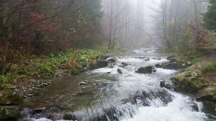Poster - Mountain river  with waterfalls flowing through the autumn colorful forest in Beskidy Mounatins, Poland.