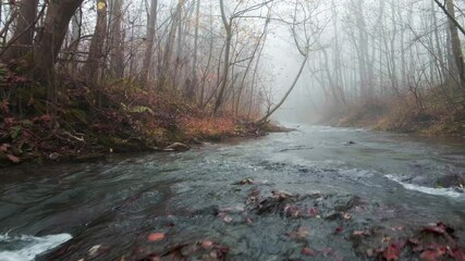 Poster - Mountain river  with waterfalls flowing through the autumn colorful forest in Beskidy Mounatins, Poland.