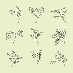 Poster - leaves line icons set style, branches foliage nature decoration