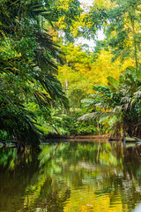 Poster - Costa Rica, flora and fauna at its best: a breathtaking trip through a mangrove forest