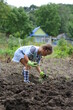 © Angelina - A small child harvests potatoes in the country