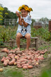 © Angelina - A small child harvests potatoes in the country
