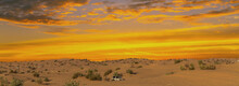 Desert Safari Tire Prints In Sand.