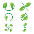 © rega kurnia putri - leaf logo design icon symbol